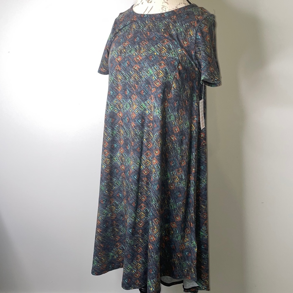 NWT LuLaRoe Carly Dress